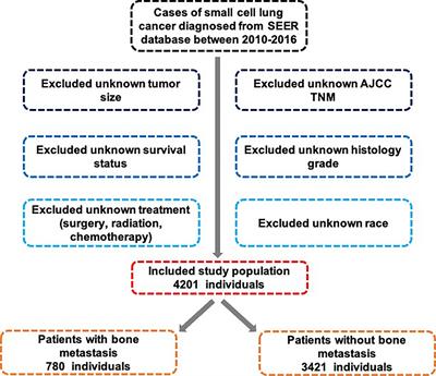 Deep learning of bone metastasis in small cell lung cancer: A large sample-based study